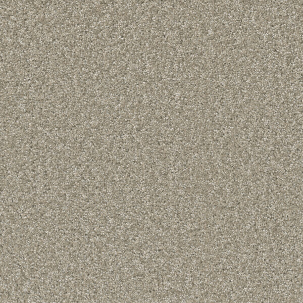 Dreamweaver SP251 - Clam Shell | All American Flooring