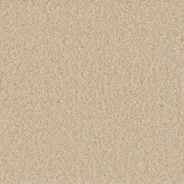Dreamweaver SP251 - Classic Ivory | All American Flooring